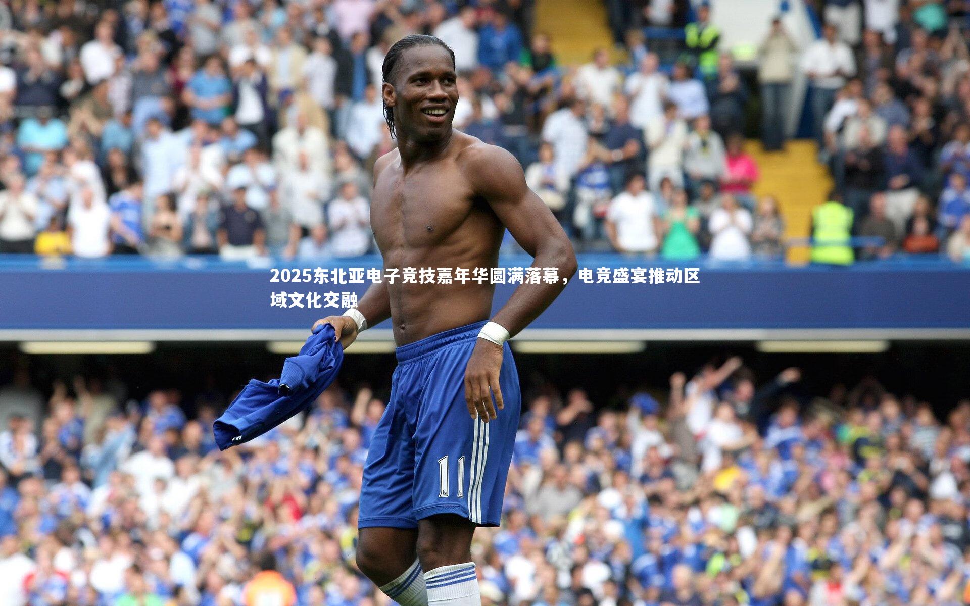 KAIYUN开云_2025东北亚电子竞技嘉年华圆满落幕，电竞盛宴推动区域文化交融